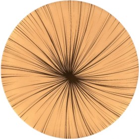 تصویر چراغ سقفی 36 وات مودی مدل گرد طرح قاصدک کد IR-MD6136R-P 