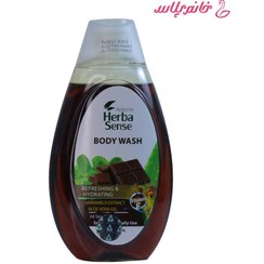 تصویر شاور ژل آردن با رایحه شکلات و نعنا (Chocolate &amp; Mint) حجم ۴۰۰ میلی‌لیتر 