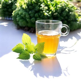 تصویر گیاه گزنه 