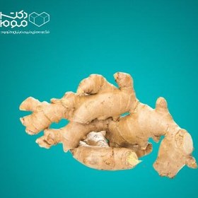 تصویر ریشه زنجبیل 