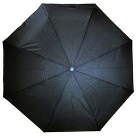 تصویر چتر مدل 2030 