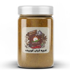 تصویر ادویه کباب کوبیده - 100 گرم 