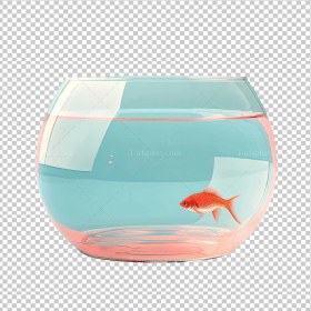 تصویر تنگ ماهی قرمز بدون زمینه Tight red fish transparent background