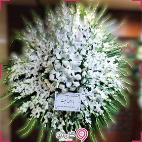 تصویر تاج گل سوژین 