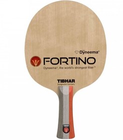 تصویر فورتینو فورس 