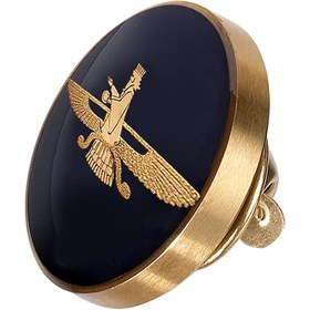 تصویر بج سینه فروهر 