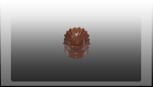 تصویر سرپنجه پرچین شکلاتی 