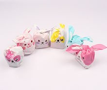 تصویر کش چهل گیس رنگی 