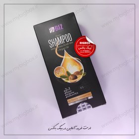 تصویر شامپو ترمیم کننده آرگان بیز وزن 300 گرم BIZ Argan Oil Shampoo