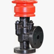 تصویر شیر زیر موبری اشتعال اراک شیر زیر موبری اشتعال اراک