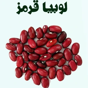 تصویر فروشگاه باغبان ارگانیک