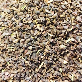 تصویر اسپند دانه 