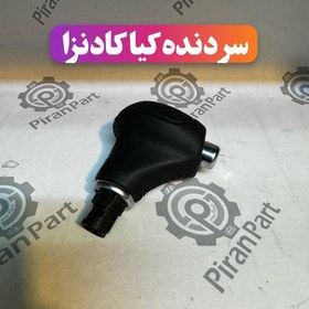 تصویر سردنده کیا کادنزا 