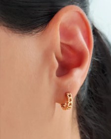 تصویر گوشواره ظریف کارتیر ژوپینگ 