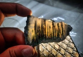 تصویر شجر کلکسیونی منظره جنگل 