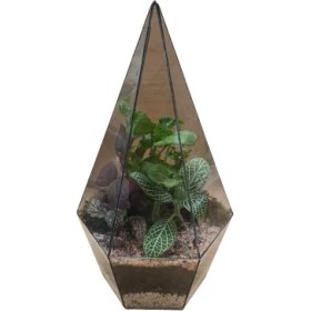 تصویر تراریوم الماس 