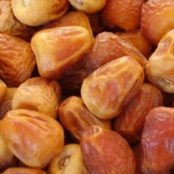 تصویر خرما زاهدی 