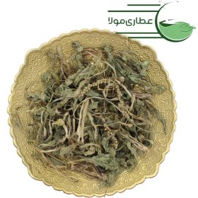 تصویر برگ بارهنگ 