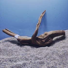 تصویر ریشه آبنوس کد1023 ارسال این ریشه رایگان می باشد