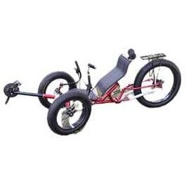 تصویر دوچرخه تاشو ۲۰ اینچ ۳ چرخ دنده با ترمز دیسکی 