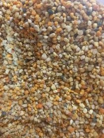 تصویر گرده گل استریل و ضد عفونی شده پروبی 