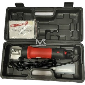 تصویر موچین گاو انکا 