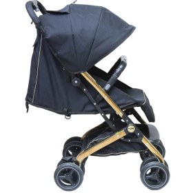 تصویر کالسکه مسافرتی دلیجان مدل مینی پرو mini pro 