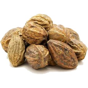 تصویر هلیله زرد 