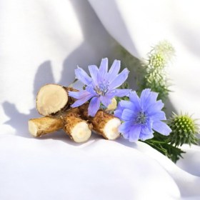 تصویر ریشه کاسنی 