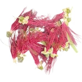 تصویر گل خشک ابریشمی G129 