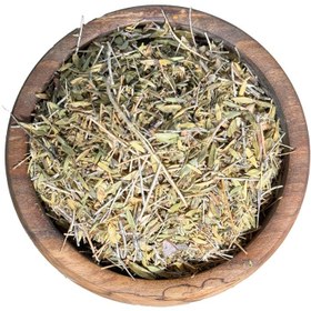 تصویر اویشن کوهی 