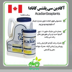 تصویر جلبک دریایی آکادین Acadian Seaweed Fertilizer