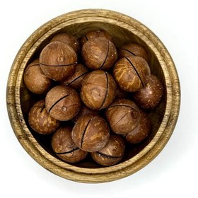 تصویر فندق ماکادمیا 