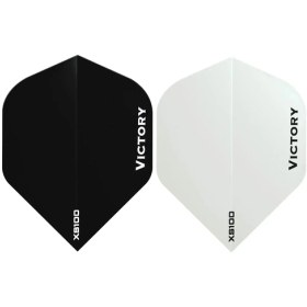 تصویر پر دارت ویکتوری XS100 
