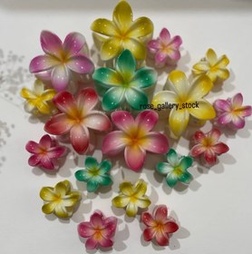 تصویر ست کلیپس پلومریا - سبز 