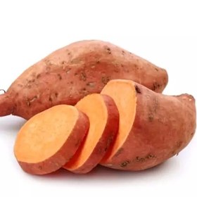 تصویر سیب زمینی شیرین 