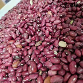 تصویر لوبیای قرمز 