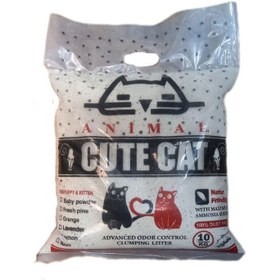 تصویر خاک گربه کیوت کت گرانول کربن اکتیو وزن 10 کیلوگرم Cute Cat