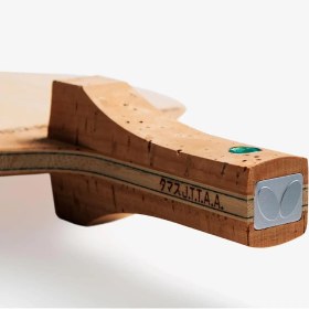 تصویر گارایدیا روولور 