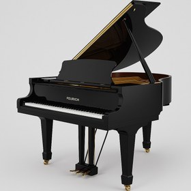 تصویر پیانو گرند فویریش Feurich 161 Professional I 