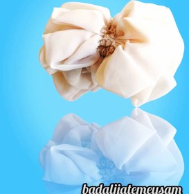 تصویر کلیپس گلدار اعلا 