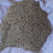 تصویر بذر بابونه آلمانی عمده 