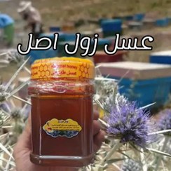 تصویر عسل زول (بوقناق) اصل 1 کیلویی-کوهی(خرید مستقیم از زنبوردار ) ارسال رایگان 