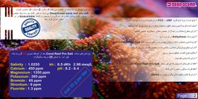 تصویر نمک حرفه ای آکواریوم های مرجانی دیپ اوشن Deep Ocean Coral Reef Pro Salt