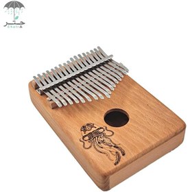 تصویر کالیمبا دلکو 17 تیغ طرح عروس دریایی 