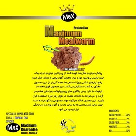 تصویر غذای پولکی آبزیان ماکسیمم میلورم ای شریمپ A-Shrimp Maximum Mealworm