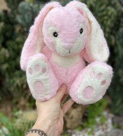 تصویر عروسک خرگوش Robit