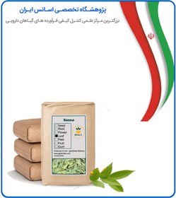 تصویر گیاه سنا خشک فله 