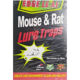 تصویر چسب موش کتابی ا Mouse & Rat Bond Traps Mouse & Rat Bond Traps
