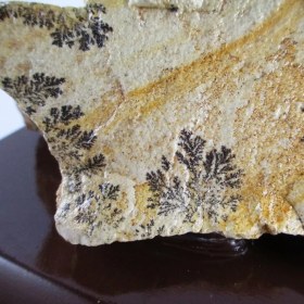 تصویر سنگ راف شجر فسیلی کد 2011 